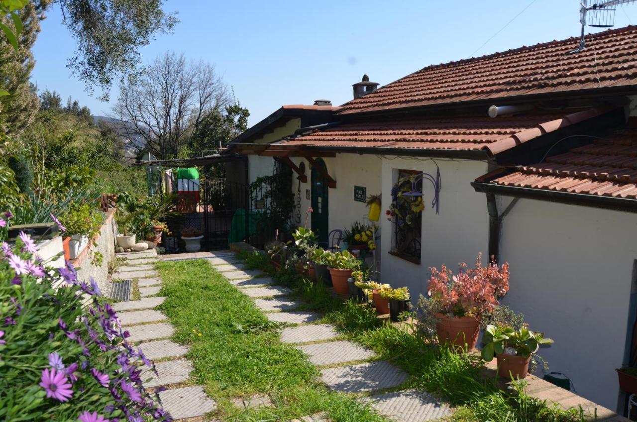 La Pineta Bed and Breakfast Pitelli Exteriör bild